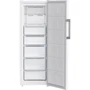 Морозильная камера Beko B1RFNE293W: Количество дверей 1