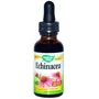 Nature's Way Echinacea Alcohol Free 99.9% 1 fl oz (30 ml) Ехінацея без спирту