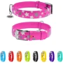 Ошейник WAUDOG Glamour с узором "Звездочка" 35 мм 46-60 см розовый с QR паспортом (35887): Производитель WAUDOG