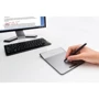 Графический планшет Wacom Bamboo Pad Wireless (CTH300K): Разрешение 508 lpi (20 линий/мм)