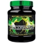 Аминокислота для спорта Scitec Nutrition L-Glutamine 600 g /100 servings/