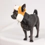 Шапка для собак Pet Fashion BUBO M горчичная: Размер животного Средние