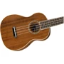 Fender Ukulele Zuma Concert Natural WN: Тип крепления грифа Вклеенный