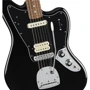 Электрогитара PLAYER JAGUAR PF BLK (230660): Материал корпуса Ольха