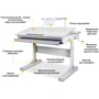 Детский стол Mealux Edmonton Multicolor G с полкой S50 (арт. BD-610 W/MC + G + S50 WG): Тип Парта