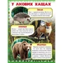 Моя перша книжка. Про диких тварин: Жанр Развитие ребенка