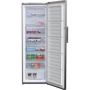Морозильная камера Beko RFNE312E23X: Количество дверей 1