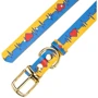 Нашийник шкіряний для собаки HiDog "Життя" XS - ширина 10 мм (19-25 см) (201/1033): Тип Обычные