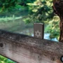 Запальничка Zippo 150 Star Of David Design (49685) фото 3
