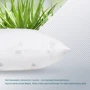 Подушка ТЕП Природа Membrana Print Aloe Vera 70х70 см (2000008645799): Наполнитель антиаллергенное синтетическое волокно