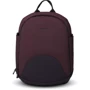 Універсальна коляска 2 в 1 Anex M-Type Sp28-Q (grape): Тип коляски універсальна коляска (2-в-1)