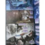 World of Warcraft. Истории: ISBN 978-5-17-135542-5