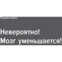 Брюс Гуд: Мозг прирученный. Что делает нас людьми?: Жанр Популярная психология