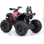 Дитячий електроквадроцикл Bambi Racer M 4795EBLR-8 до 30 кг: Вага, кг 22