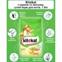 Сухой корм для котов Kitekat курочка с овощами 1,8 кг (5900951137884): Класс Эконом