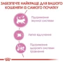 Сухой корм Royal Canin Mother & Babycat для новорожденных котят и кошек во время беременности 10 кг (2571100): Порода Все породы