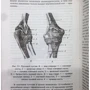 Александр Швырев: Анатомия и физиология человека с основами общей патологии: Количество страниц 412