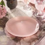 Тарелка Luminarc Arty Pink Quartz 20 см (Q3129): Размеры, см 20