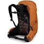 Рюкзак туристический Рюкзак туристический Osprey Tempest 24 S21 Bell Orange M/L оранжевый (009.2367) фото 5