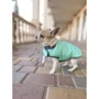 Курточка-накидка для собак AiryVest Lumi светонакопительная XS А 26 см B 33-41 см С 18-27 см (5514) фото 7