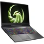 Ноутбук MSI Alpha 17 A4DEK (A4DEK-021US): Экран 17.3" IPS (1920x1080) Full HD