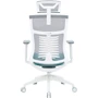 Офісне крісло OfficePro Balance (OC550-W-DG-BL): Матеріал корпусу пластик, метал
