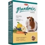 Корм Padovan GRANDMIX CAVIE комплексный для морских свинок 850 г (PP00190)