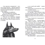 Джеремі Стронґ: Знайомтесь: Фараон!: Количество страниц 224