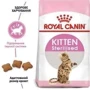 Сухой корм для стерилизованных котят Royal Canin Kitten Sterilised 3.5 кг (2562035): Возраст Котята