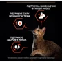 Сухой корм Pro Plan Sterilised для стерилизованных котов с лососем 10кг (7613036517164): Вес упаковки 10 кг