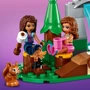 Конструктор LEGO Friends Лесной водопад (41677): Количество деталей, шт. 93