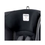 Автокресло Peg-Perego Viaggio 1 Duo-Fix DX13-DP53 Черный (IMDA020035DX13DP53): Вес ребенка 9 - 18 кг