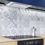 Витяжка GLOBALO RETIO 60.1 WHITE: Управління механічне