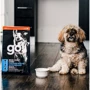 Сухой корм для щенков и взрослых собак GO! SKIN + COAT Chicken Recipe Dog Formula - Гоу! c курицей, рисом и овсянкой 11.4 кг (815260002899): Возраст Любой возраст