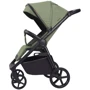 Прогулянковий візок Carrello Bravo Fruit Green (CRL-5520 Fruit Green)