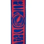 Гитарный ремень D'ADDARIO 50GD00 GRATEFUL DEAD GUITAR STRAP - Steal Your Face, Red/Blue: Тип Ремни