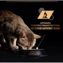 Влажный корм для кошек Purina Pro Plan Adult Indoor соус с лососем 26х85 г (8445290172990) фото 9