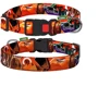 Нашийник HiDog Safari XS 10 мм 18-28 см різнокольоровий (101\1016): Виробник HiDog