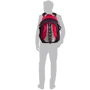 Чоловік рюкзак Onepolar червоний (W1002-red): Тип рюкзаки