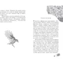 Элис Бродвей: Вспышка: Количество страниц 368