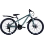 Велосипед 24" Discovery FLINT AM DD 2024 зелено-серебристый (м) (OPS-DIS-24-332)