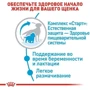 Сухой корм для собак в период беременности Royal Canin Medium Starter и щенков средних пород 1 кг (2993010): Свойства Основное питание, Забота о развитии плода