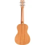 Укулеле CORDOBA 15CM Matiz Classic Blue фото 7