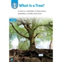 Oxford Read and Discover 1: Trees: Обложка Мягкая
