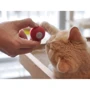 Мячик для кошек Cheerble Wickedball Mini C0419 Red (C0419 ) фото 4