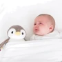 Комфортер Zazu Пингвин с успокаивающими мелодиями и записью голоса, бежевый (ZA-PHOEBE-01): Особенности Регулируемая громкость, Можно стирать, Белый шум, Автоотключение