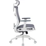 Офісне крісло OfficePro Balance OC620-W-DG-DG: Матеріал корпусу пластик, метал