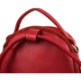 Жіночий рюкзак Valiria Fashion червоний (3DET319-1) фото 11