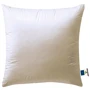 Подушка Billerbeck Zirberella Down 50x70 см 20576019