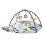 Килимок Kinderkraft Smartplay (KKZSMART000000): Тип розвиваючий килимок